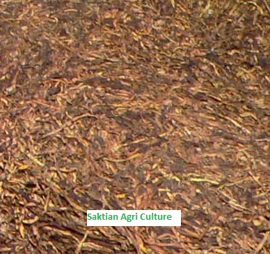 Tobacco from Indonesia